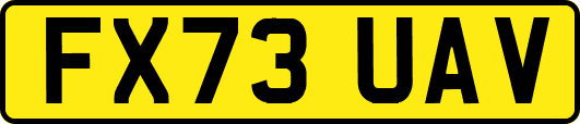 FX73UAV