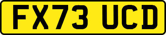 FX73UCD