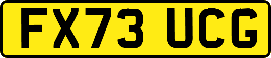 FX73UCG