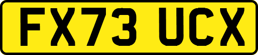 FX73UCX