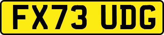 FX73UDG