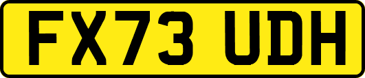 FX73UDH