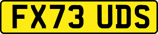 FX73UDS