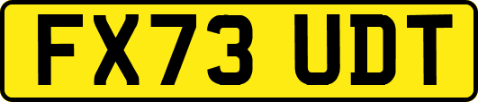 FX73UDT