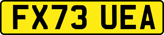 FX73UEA
