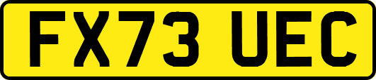 FX73UEC