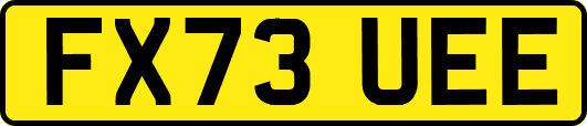 FX73UEE