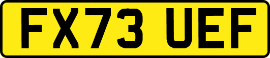 FX73UEF