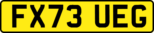 FX73UEG