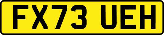 FX73UEH