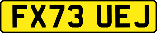 FX73UEJ