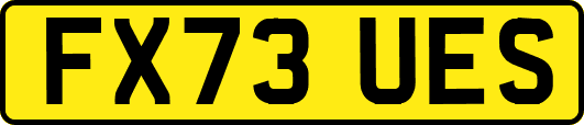 FX73UES