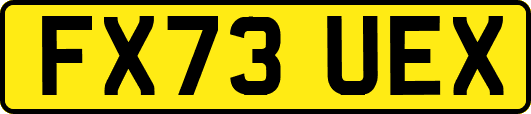 FX73UEX