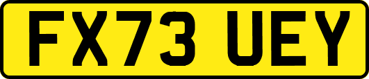 FX73UEY