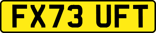 FX73UFT