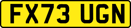 FX73UGN