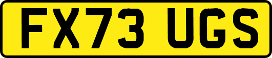FX73UGS