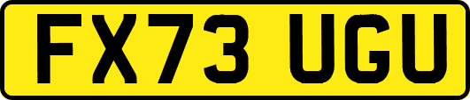 FX73UGU