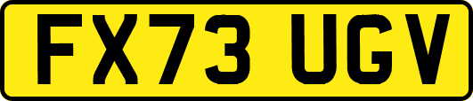 FX73UGV