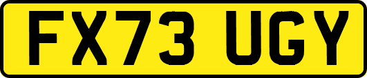 FX73UGY
