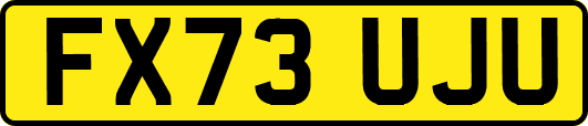 FX73UJU
