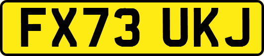 FX73UKJ