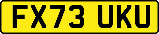 FX73UKU