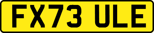 FX73ULE