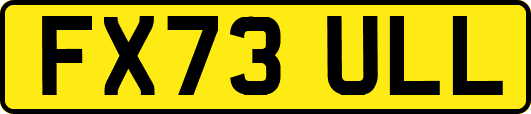 FX73ULL