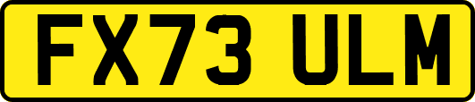 FX73ULM