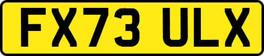 FX73ULX