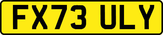 FX73ULY