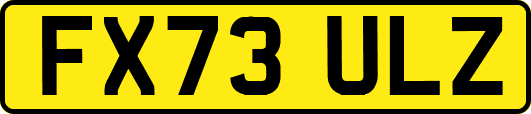 FX73ULZ