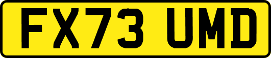 FX73UMD