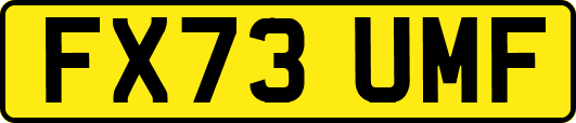 FX73UMF
