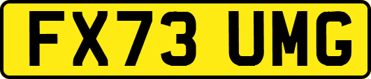FX73UMG