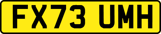 FX73UMH