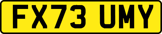 FX73UMY