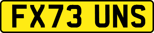 FX73UNS