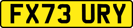 FX73URY