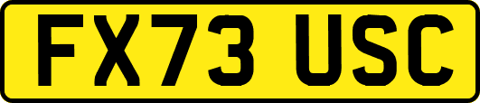 FX73USC