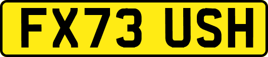 FX73USH