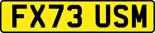 FX73USM
