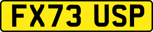 FX73USP