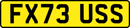 FX73USS