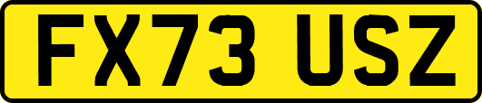 FX73USZ