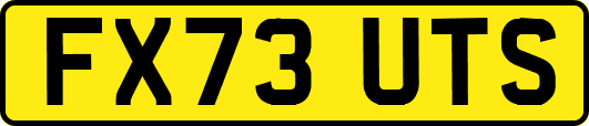 FX73UTS