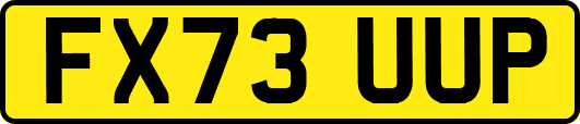 FX73UUP