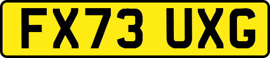 FX73UXG