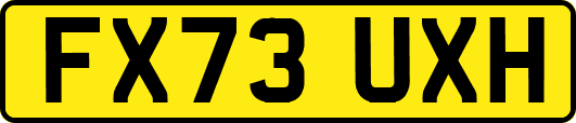 FX73UXH